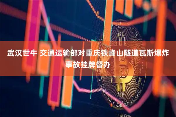 武汉世牛 交通运输部对重庆铁峰山隧道瓦斯爆炸事故挂牌督办