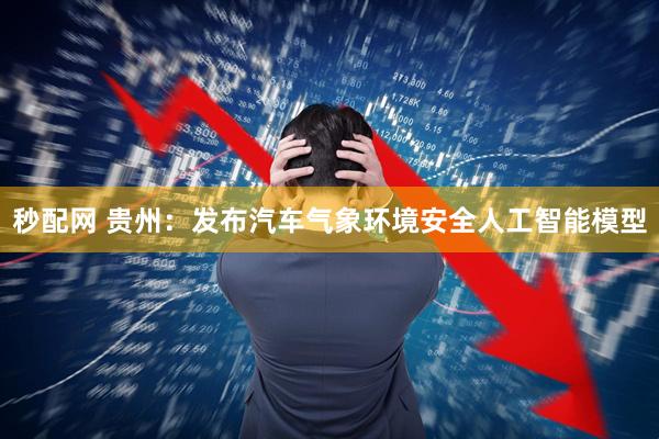 秒配网 贵州：发布汽车气象环境安全人工智能模型